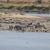  The Serengeti, TZ